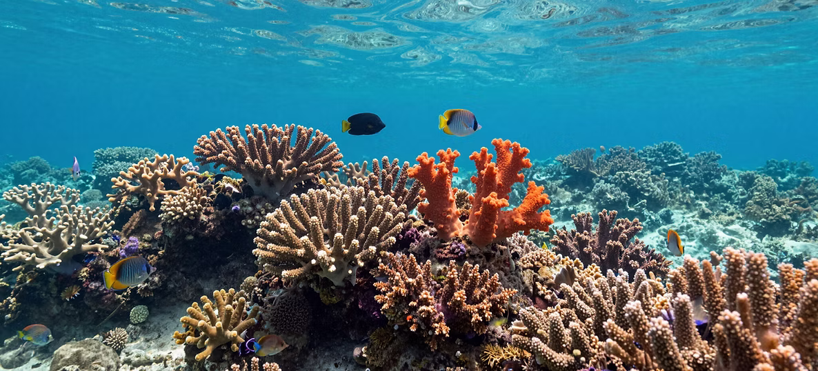 ai-generated-IMAGE-1 ai-generated-IMAGE-1